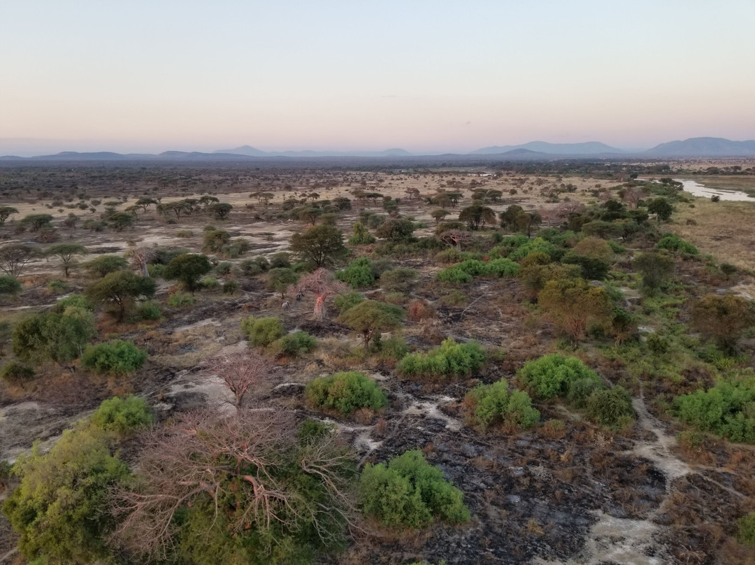 Serengeti Balloon Safaris-鲁阿哈国家公园必去景点