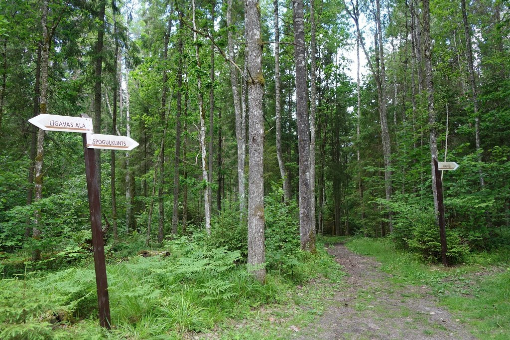 Cirulisi Nature Trail-Cesis必去景点