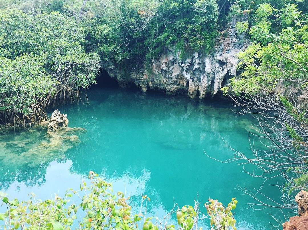 null-Hamilton Parish