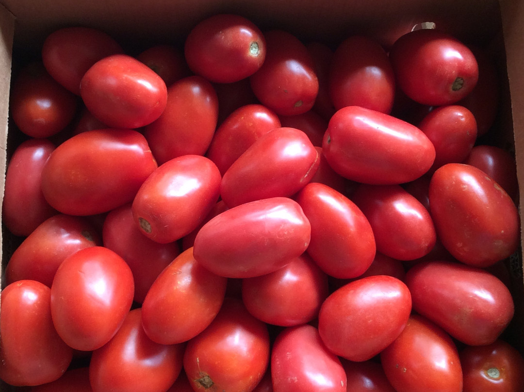 William L Brown Farm Market-Montezuma必去景点