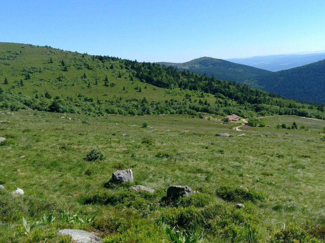 Saint-Pierre-la-Bourlhonne旅游攻略图片
