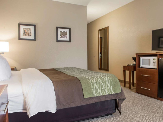 Comfort Inn Edinburg South主图