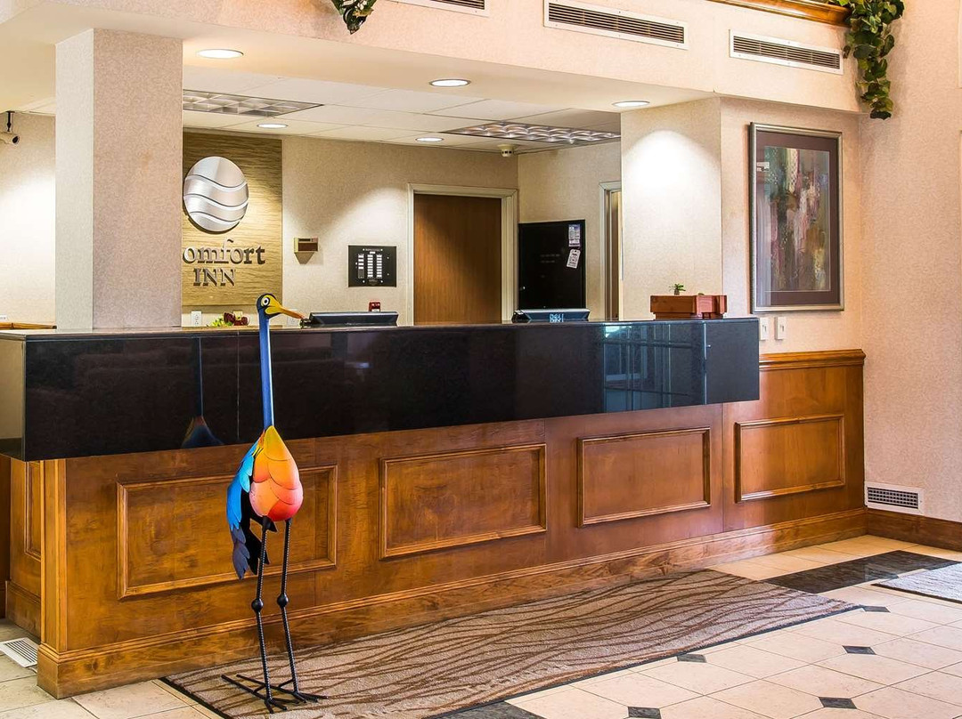 切尔西凯富酒店主图