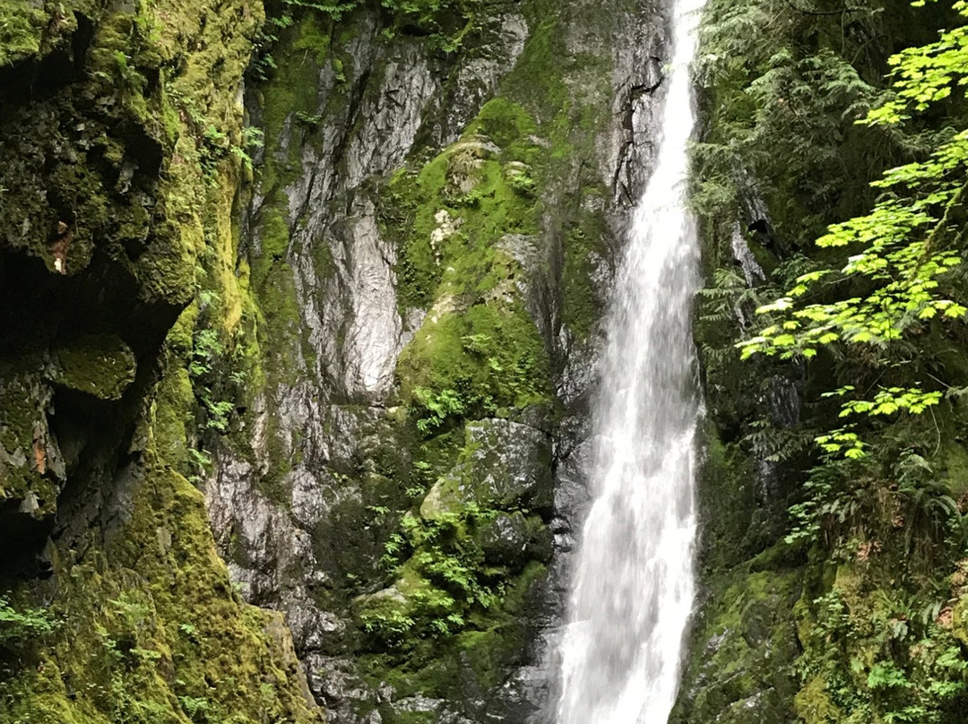 Goldstream Provincial Park景点图片