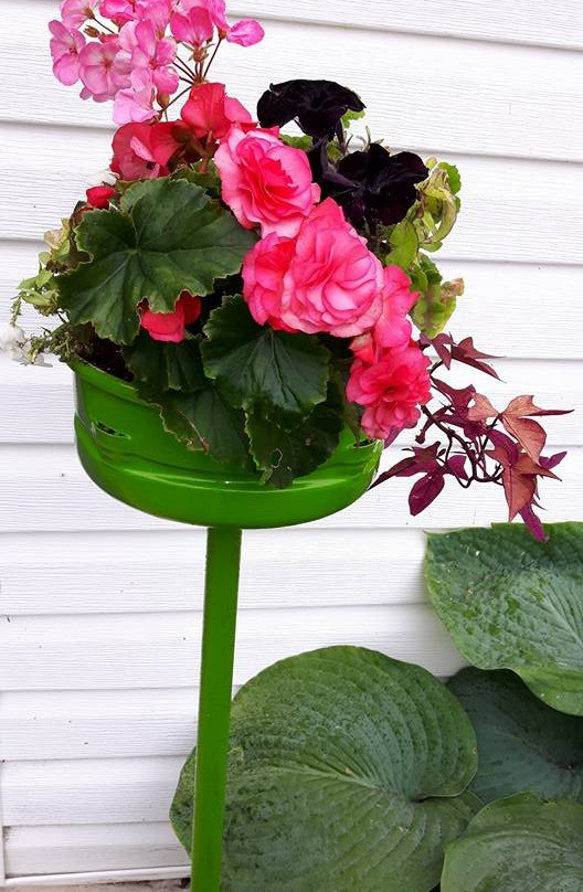 The Crab Apple Inn of Joggins主图