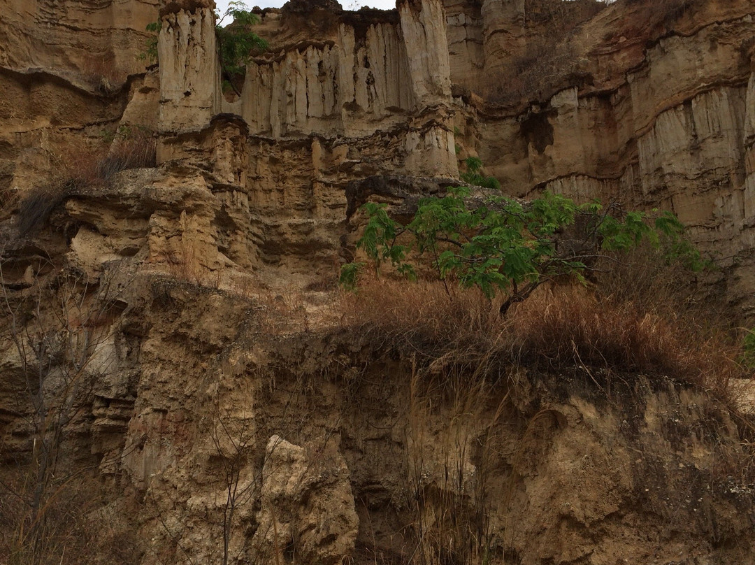 物茂土林-元谋县必去景点