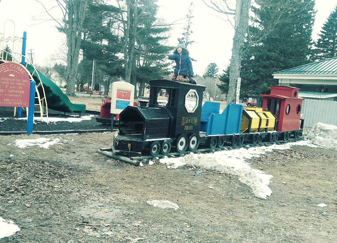 Village of Alanson Playground景点图片