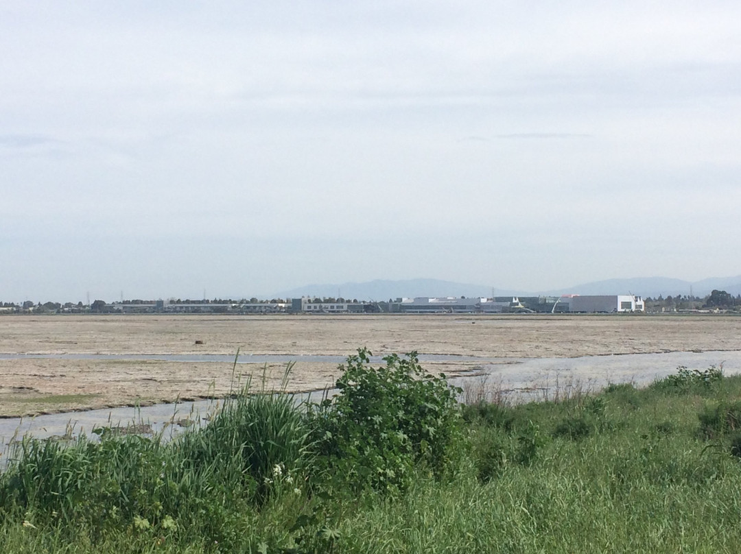 Bedwell Bayfront Park-门洛帕克必去景点