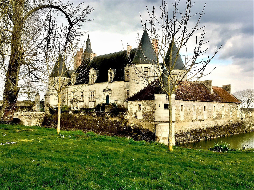 Chateau de Coussay景点图片