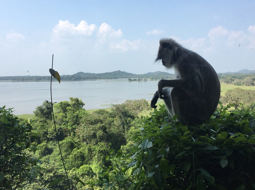 斯里兰卡湖度假村主图