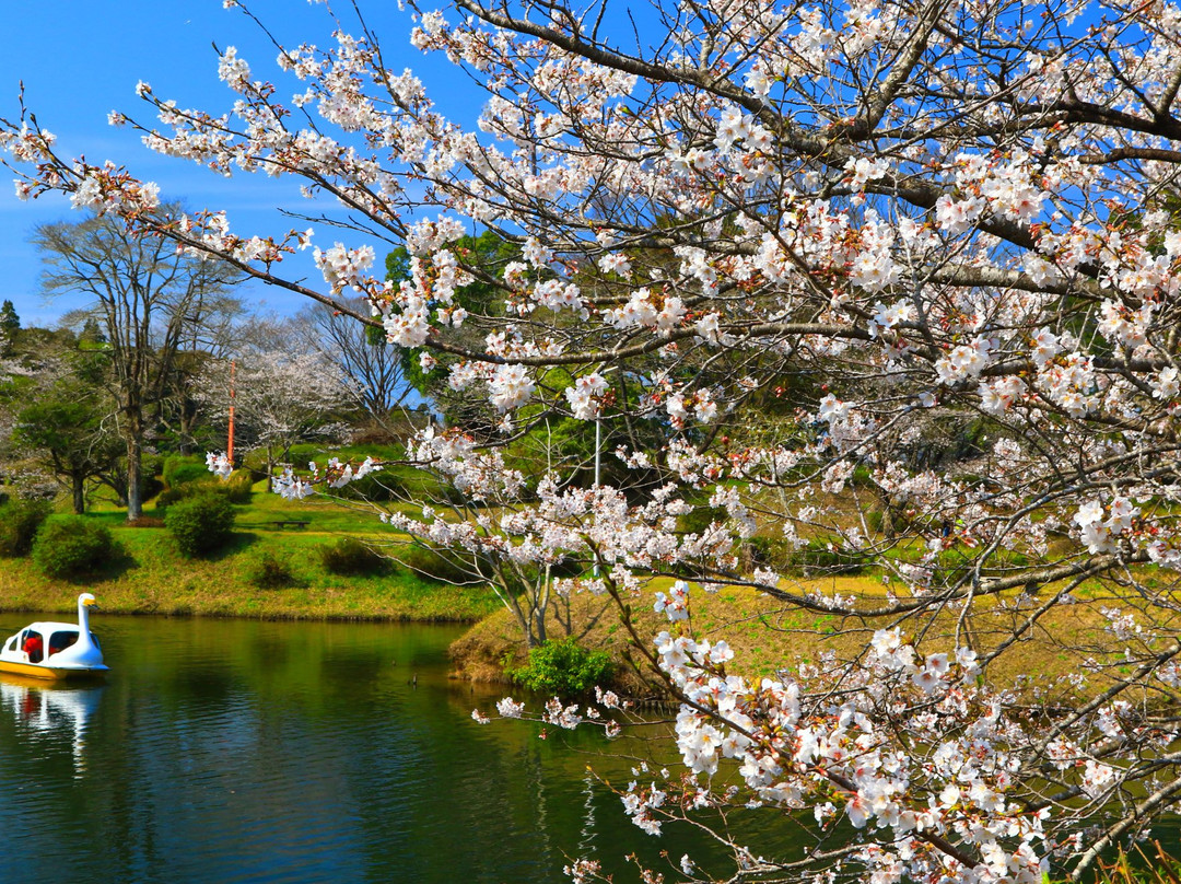 Kannonike Park-都城市必去景点