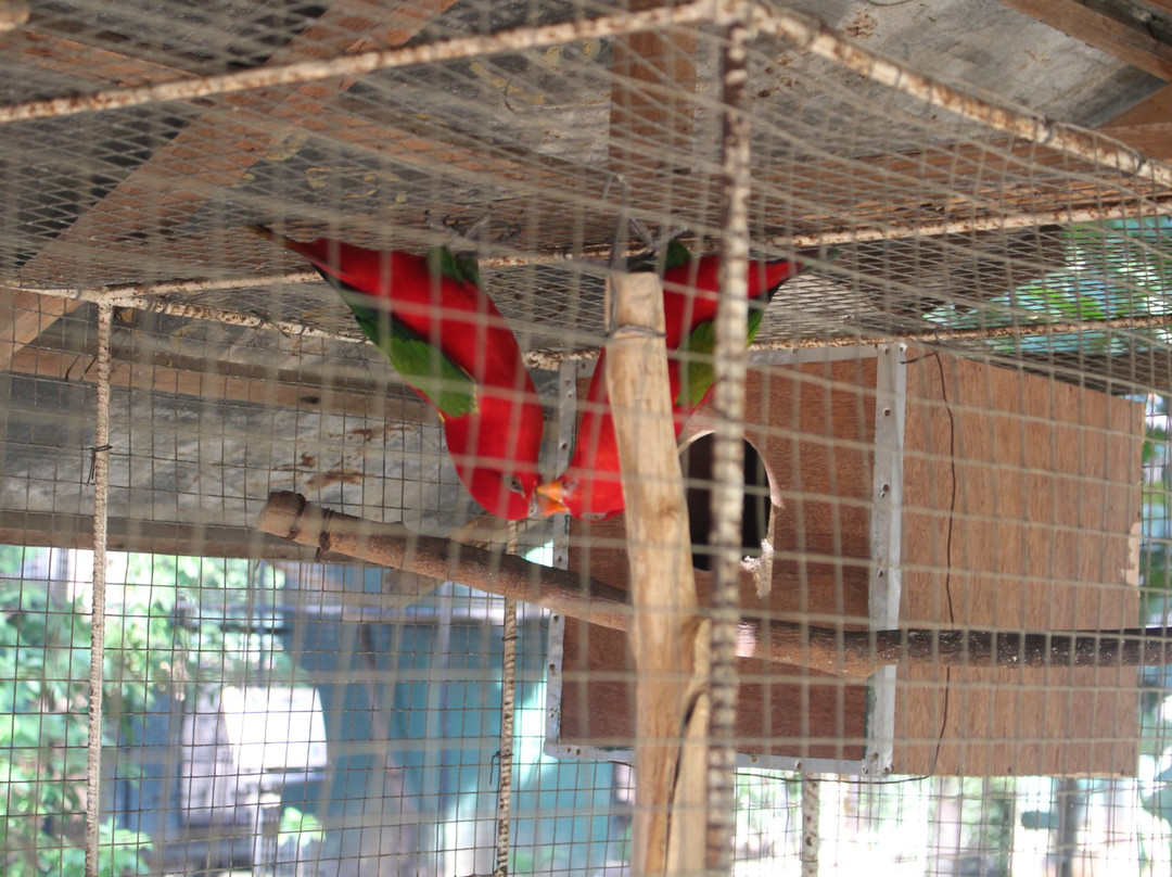 Crocolandia-宿雾必去景点