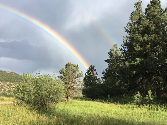 Indigenous Roots-Weston必去景点