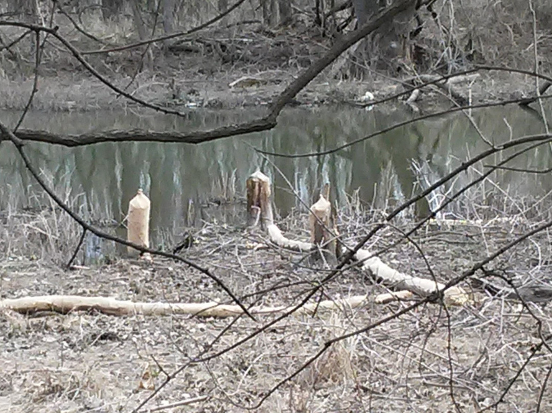 Mary K. Oxley Nature Center-塔尔萨必去景点