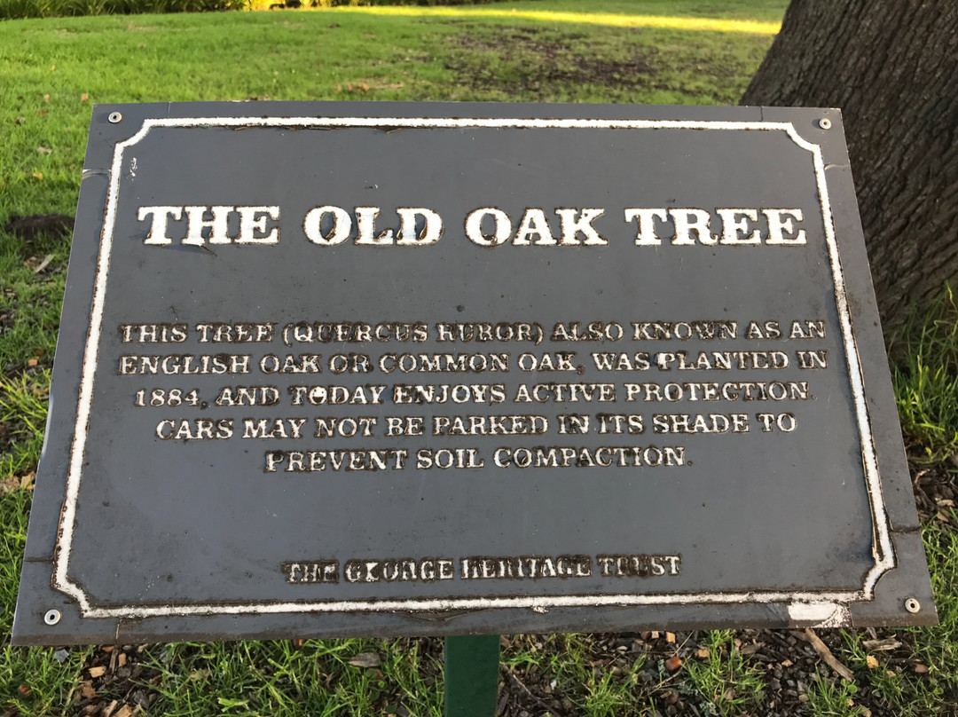 Dutch Reformed Mother Church-乔治必去景点