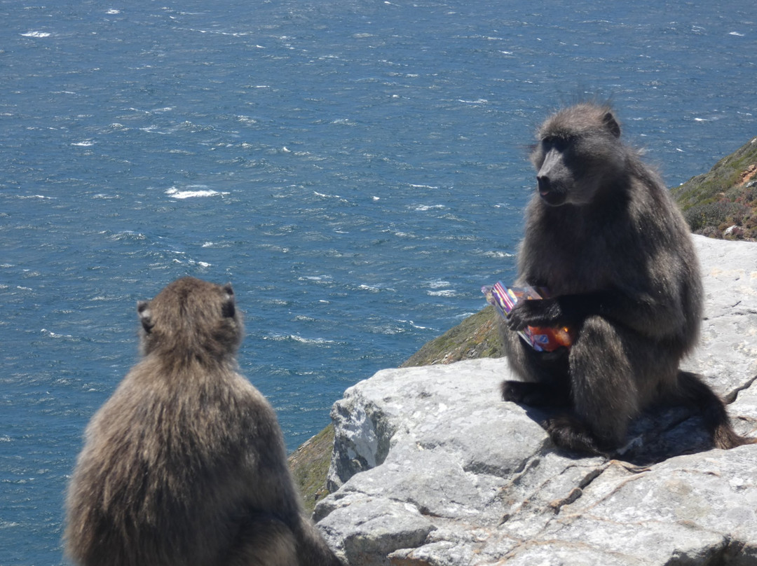 Explore Sideways-开普敦必去景点