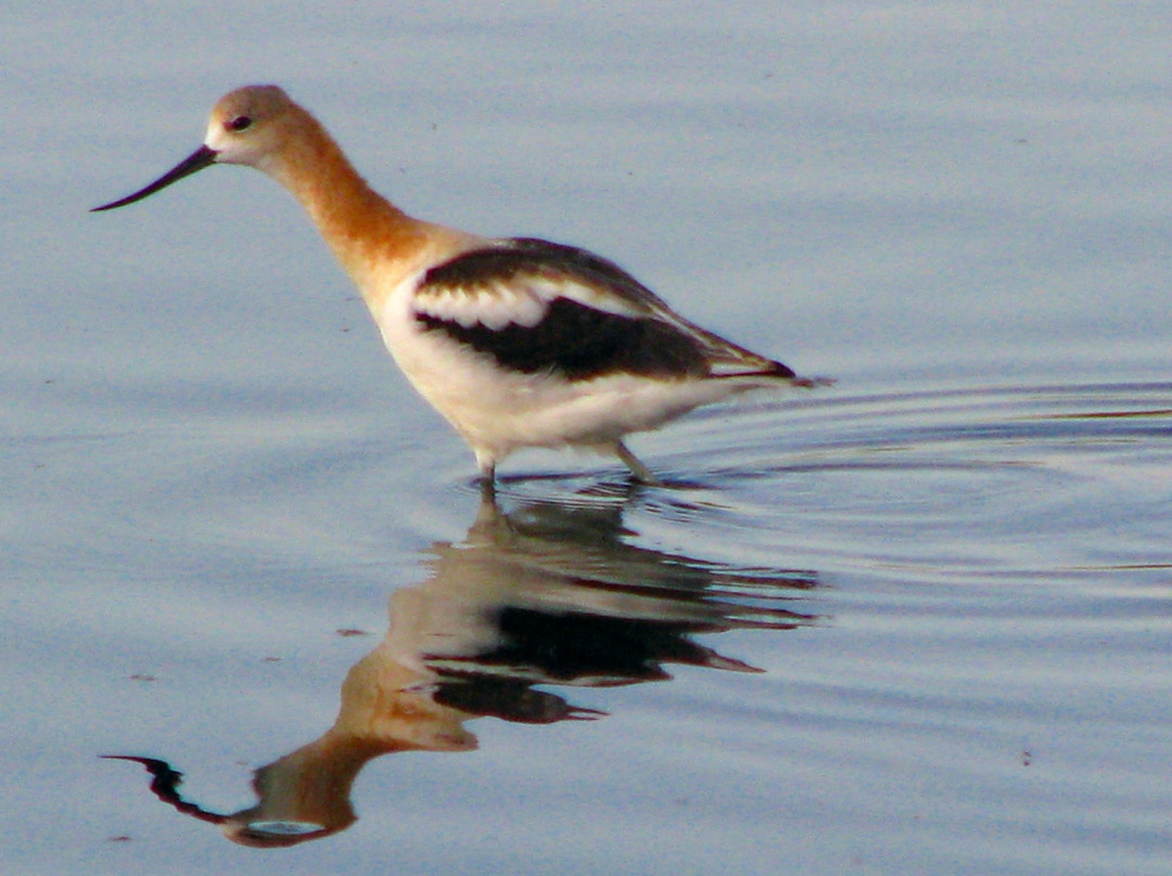 Fairmount Bed & Breakfast主图