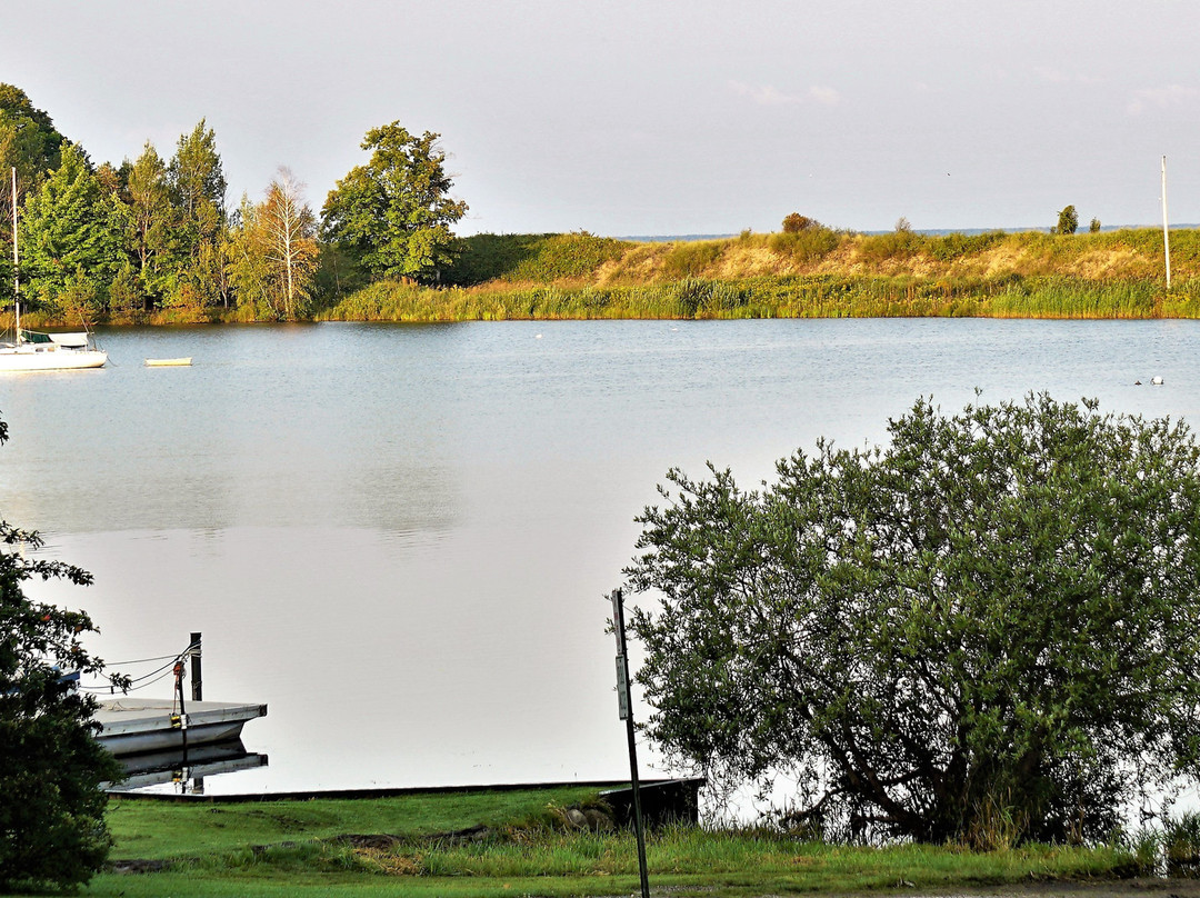 The Swan House主图