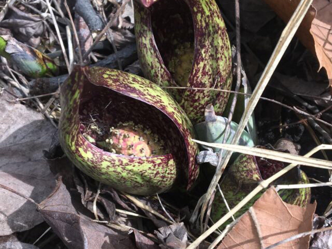 Kiser Lake State Park-Conover必去景点