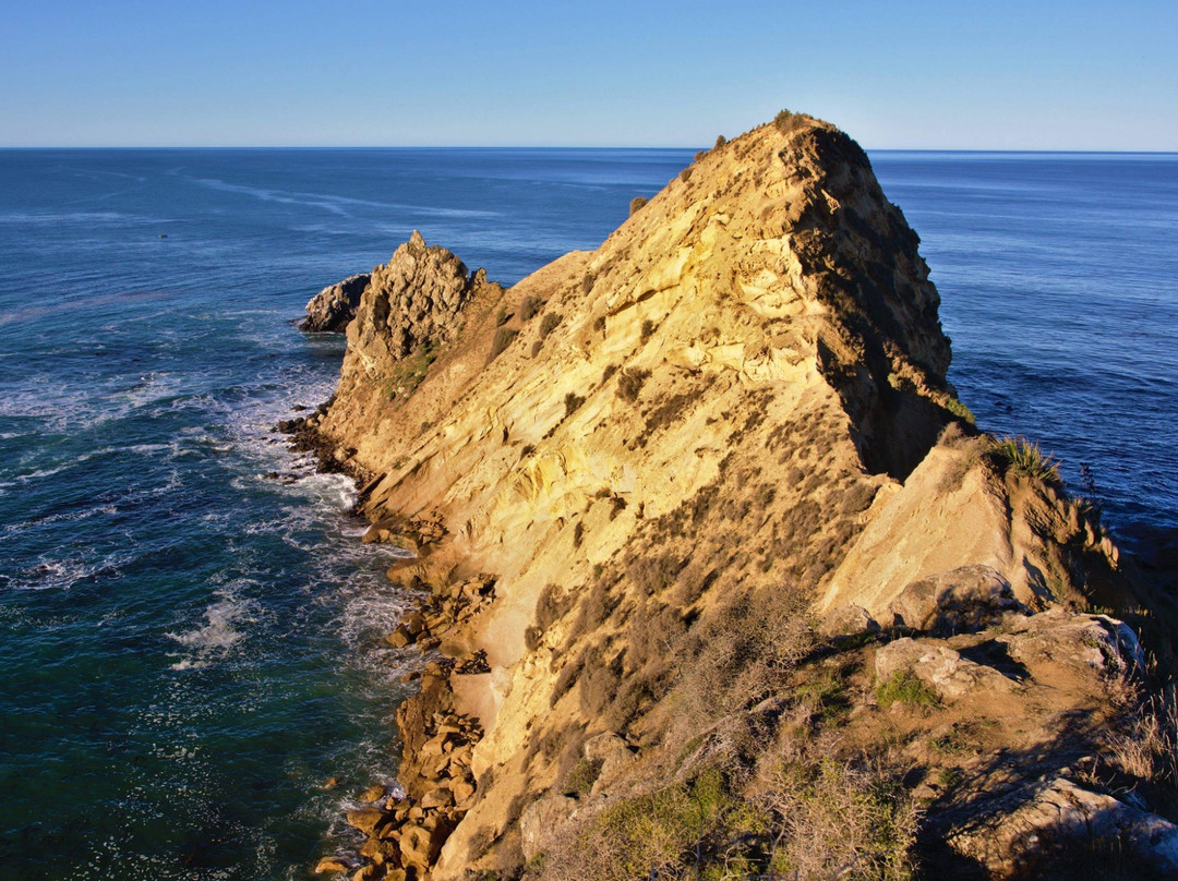 Karitane Beach景点图片