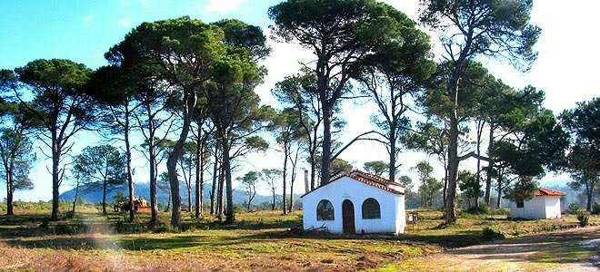 Mount Itamos-Paradisos必去景点