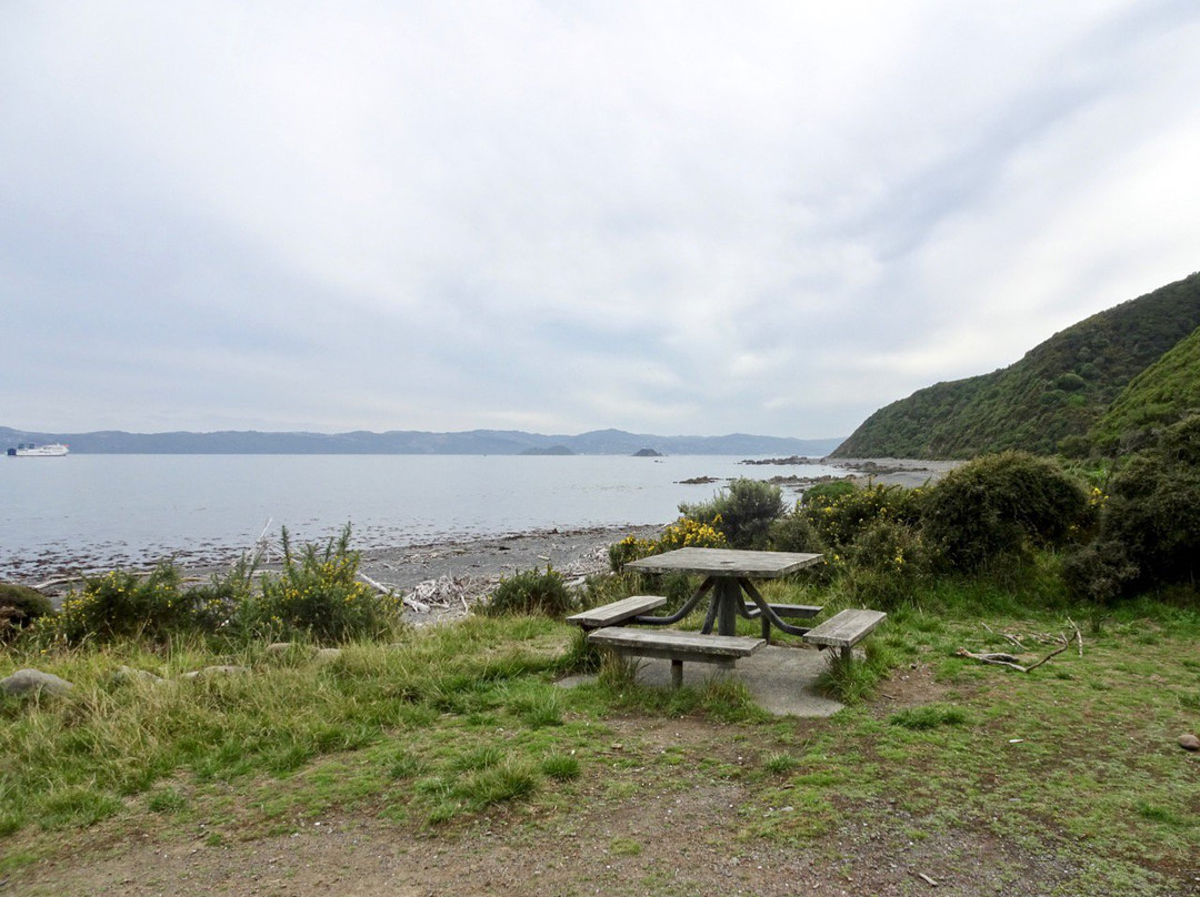 Pencarrow Coastal Trail景点图片