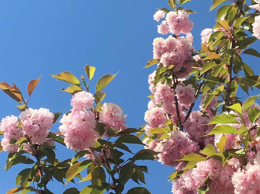 汾河公园-太原市必去景点