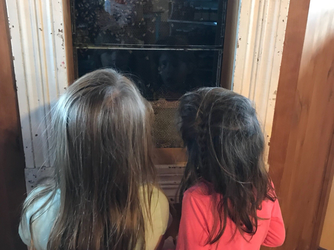 Walker Farms-North Fort Myers必去景点