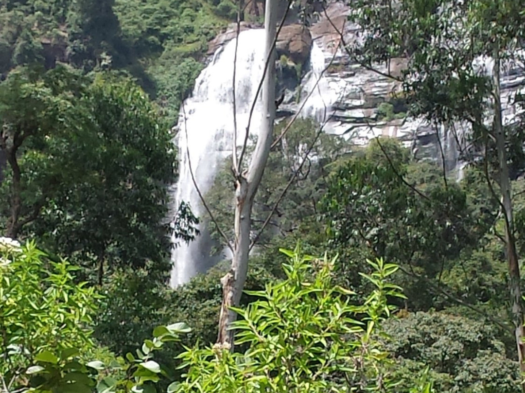 Bomburu Ella Waterfall景点图片