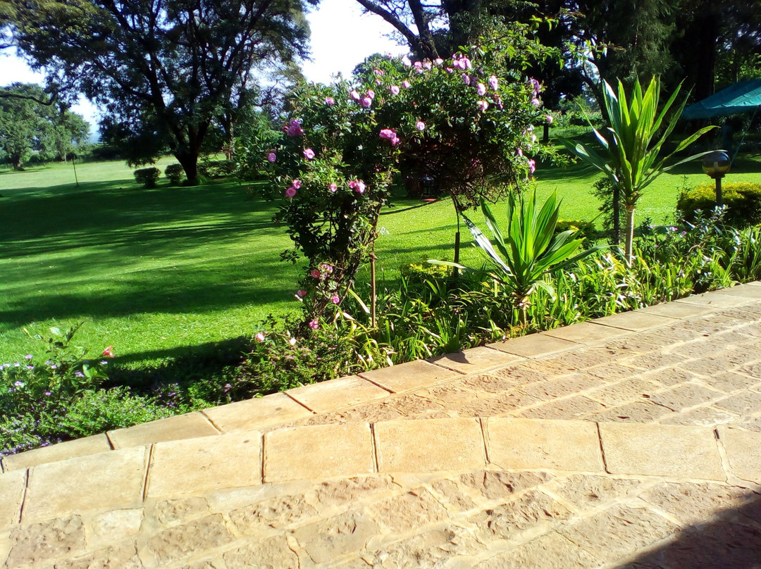 ACK St.Julians Centre主图