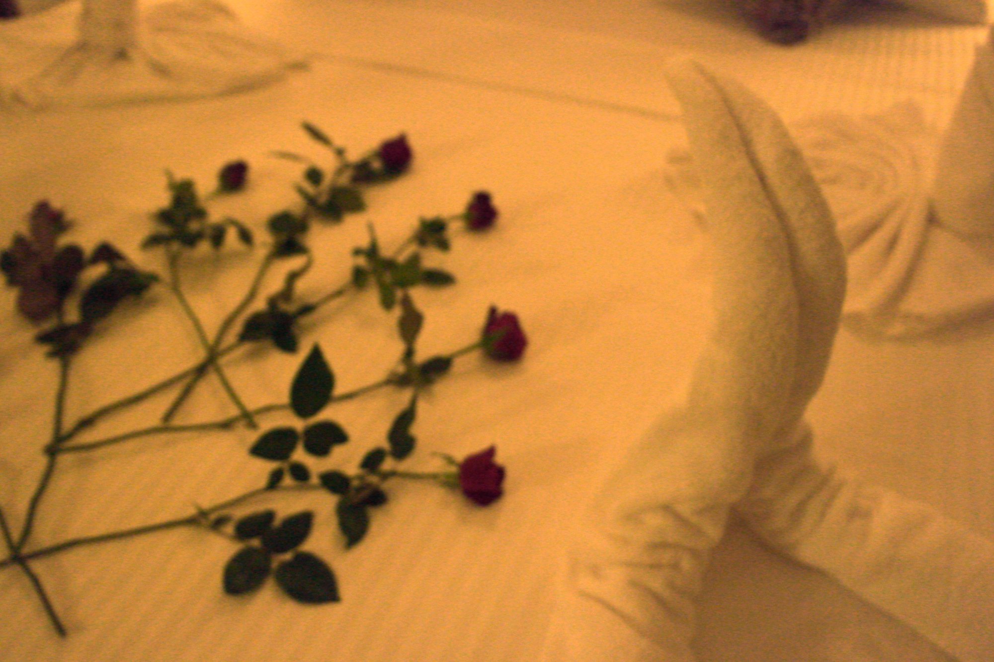 Jasmine Garden Resort-官方