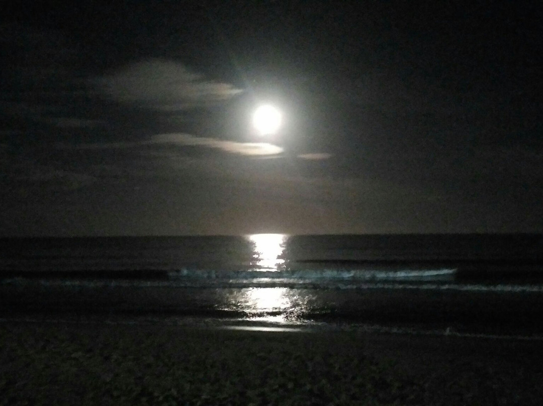 Unamar Beach景点图片