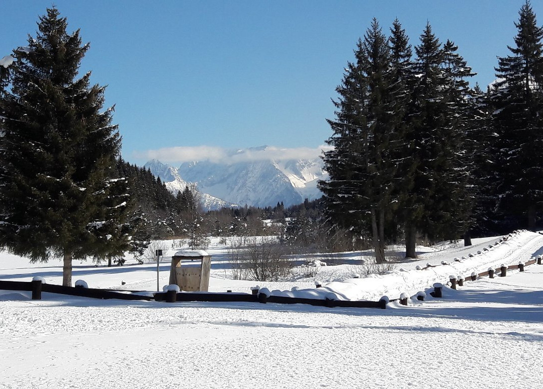 Riserva Naturale di Pian di Gembro景点图片