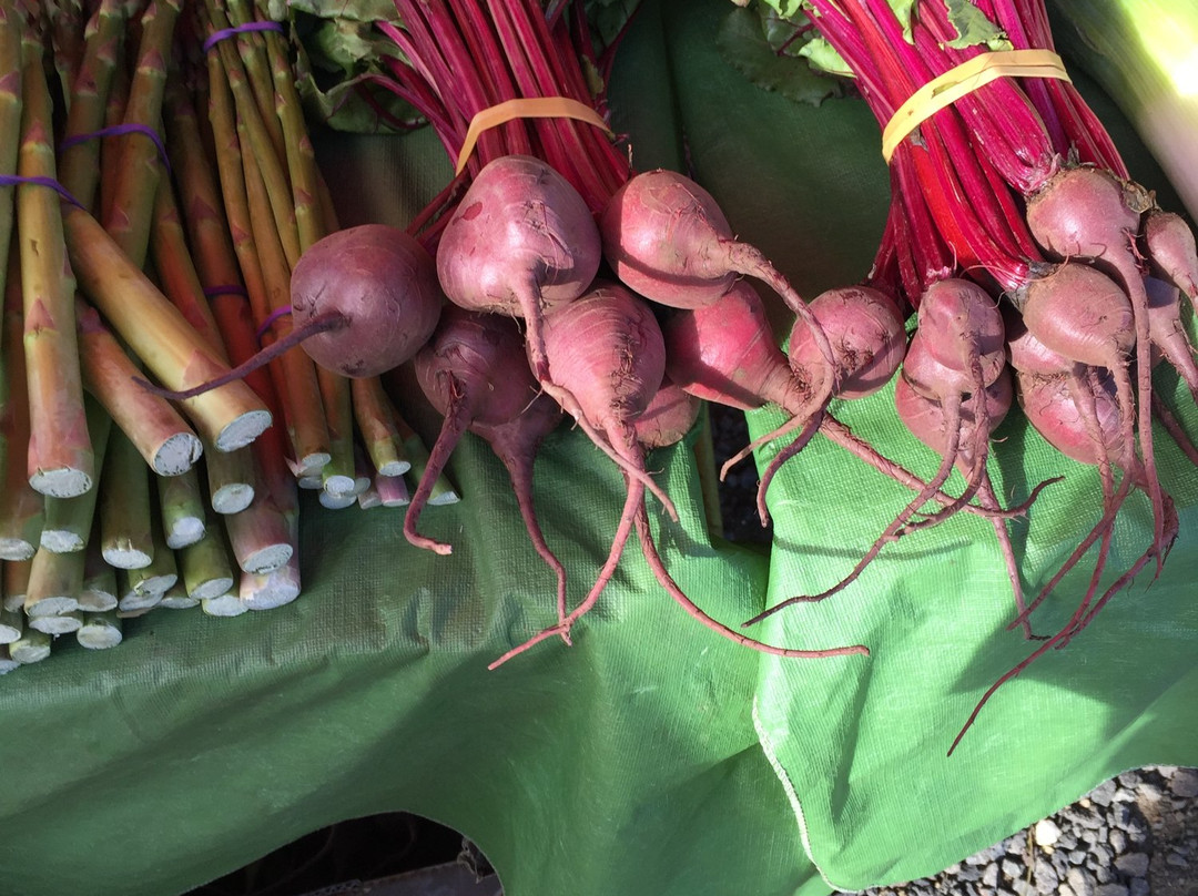 Golden Plains Farmer's Market-Bannockburn必去景点