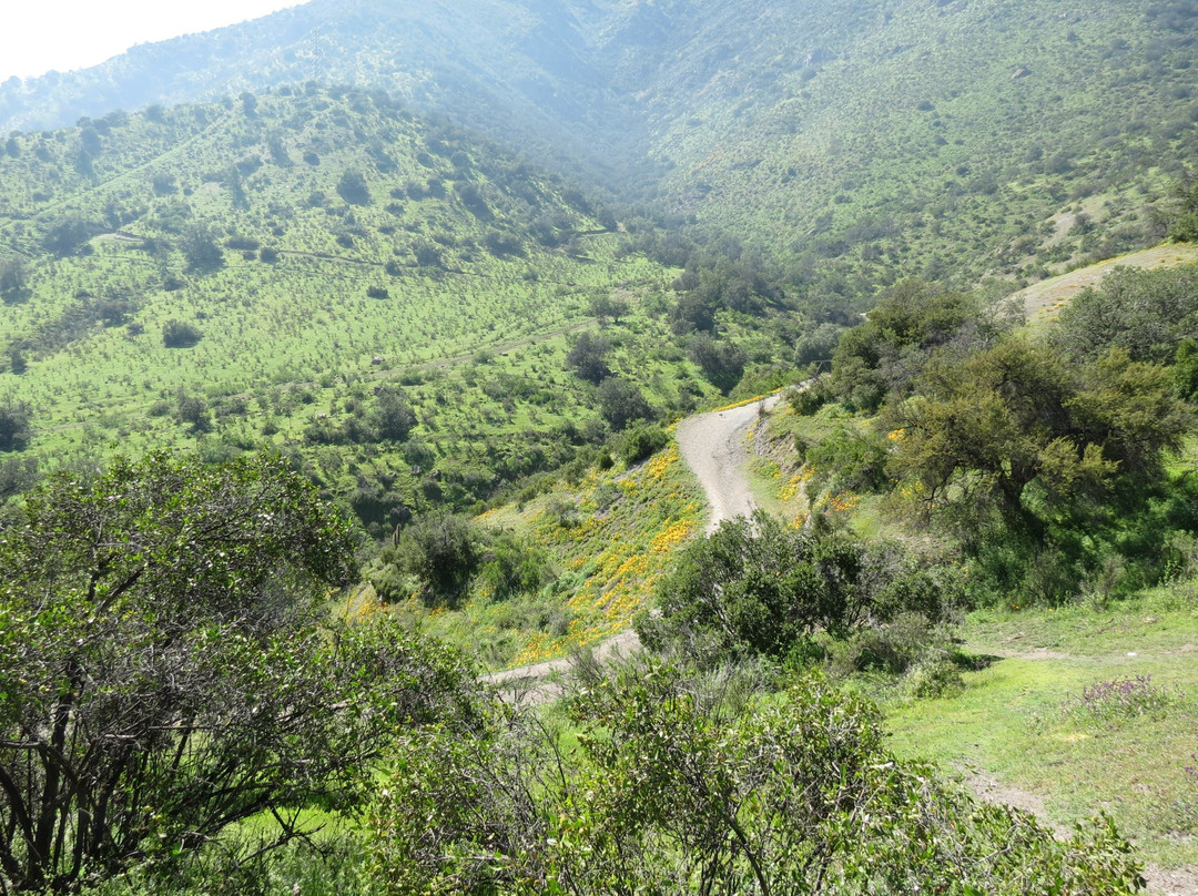 La Reina旅游景点-Parque Mahuida