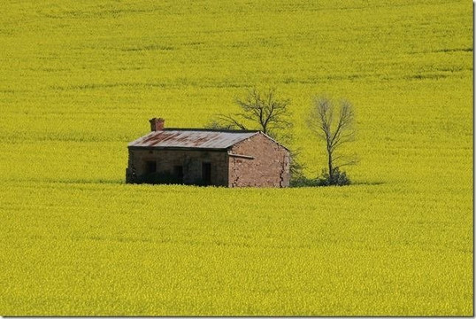 SA Eco Tours-阿德莱德必去景点