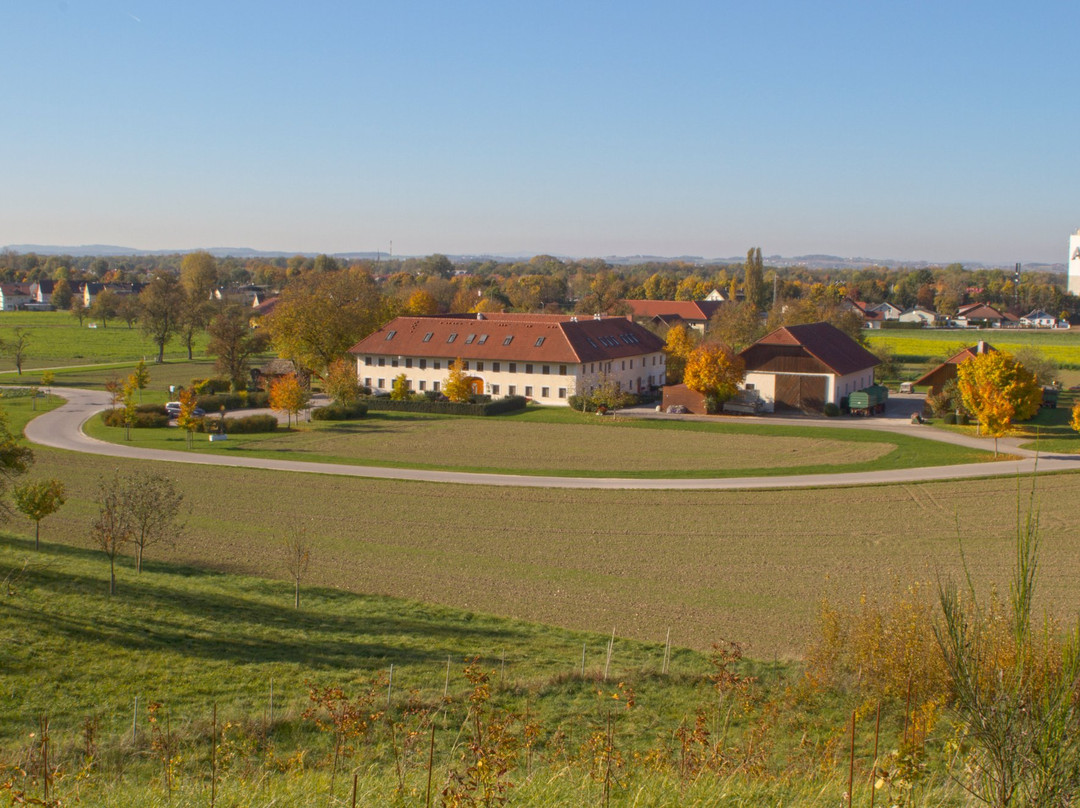 巴恩霍夫裴森赫佐格酒店主图