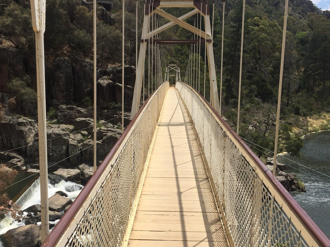 Alexandra Suspension Bridge-朗塞斯顿必去景点