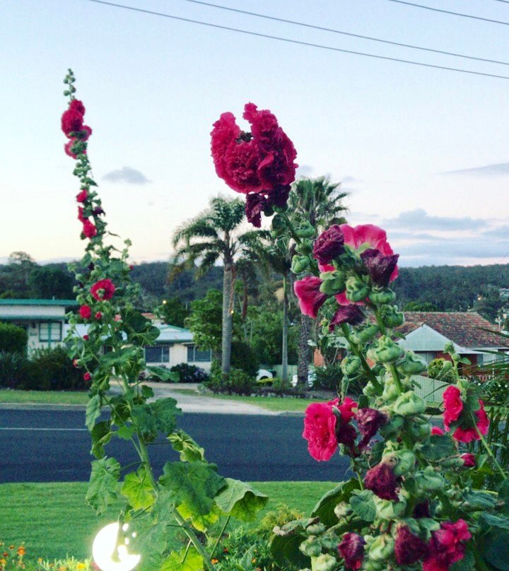 最佳西方海泉汽车旅馆主图