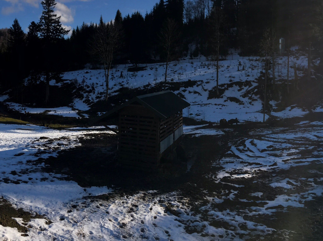 Muczne旅游攻略图片