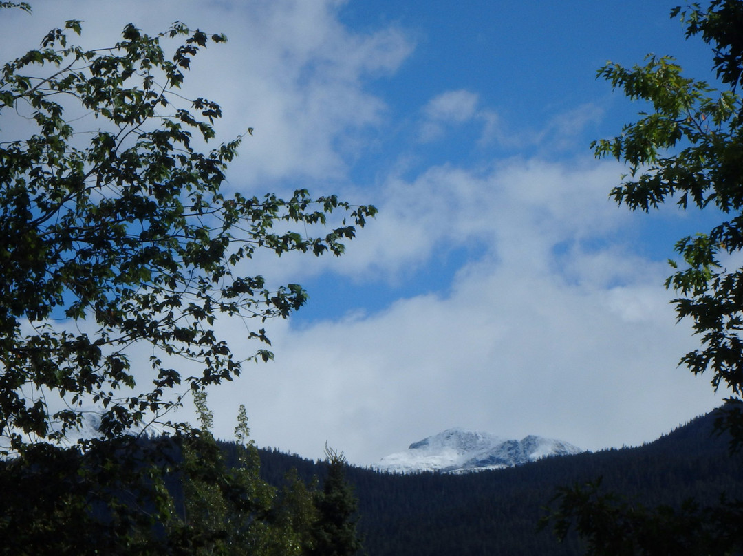 Whistler Visitor Centre景点图片