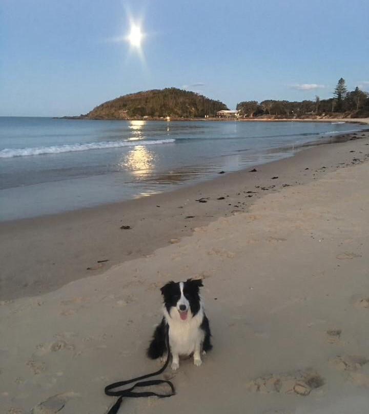 Scotts Head Beach-Scotts Head必去景点