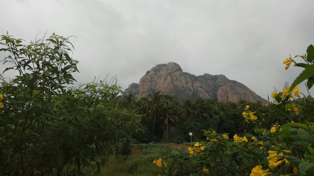 Shirdhi Sai Baba Temple, Kanyakumari景点图片