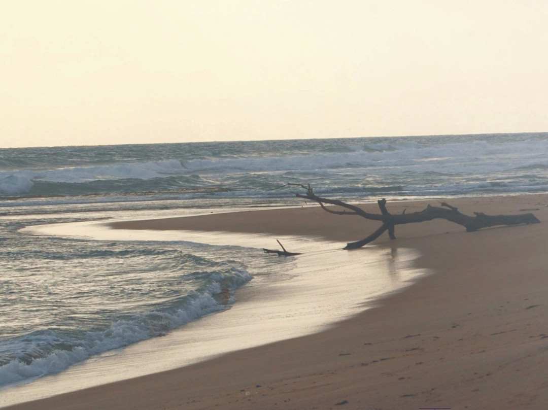 Tambling Wildlife Nature Conservation-班达楠榜必去景点