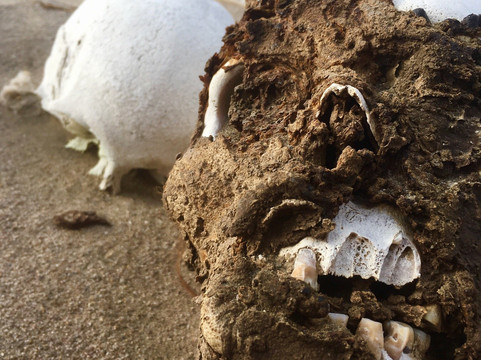 EdunasTours-纳斯卡必去景点