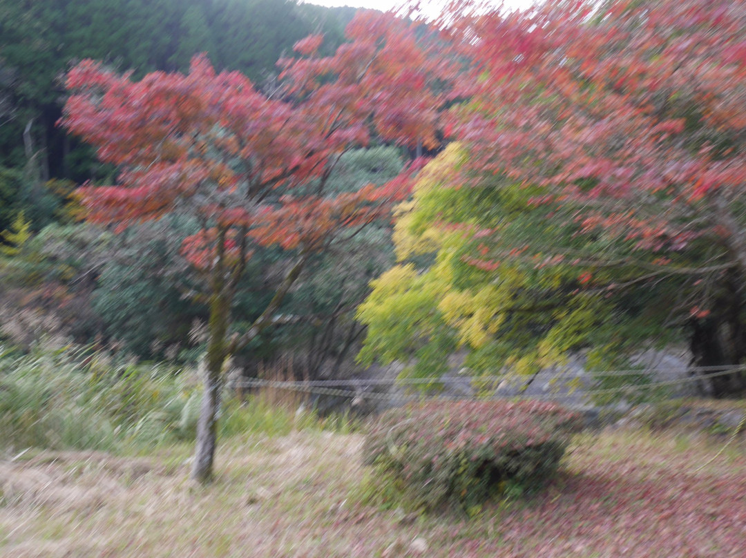 Sarutobisentsubo Gorge-中津市必去景点