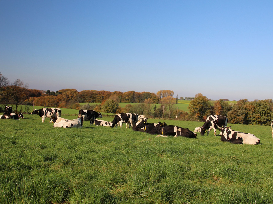 Bauernladen - Gut Ellscheid-Haan必去景点