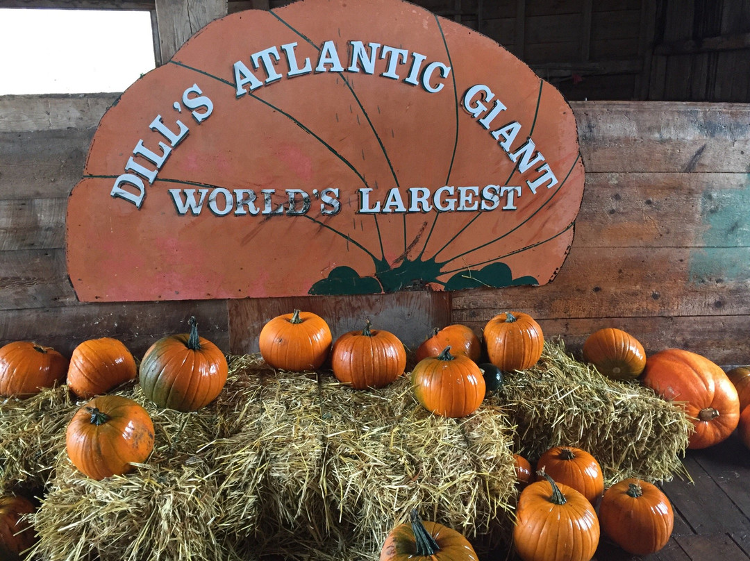 Dill's Atlantic Giant Pumpkin Farm-Windsor必去景点