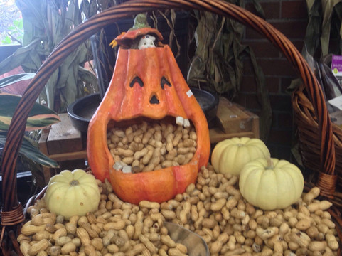 Tacoma Boys-塔科马必去景点