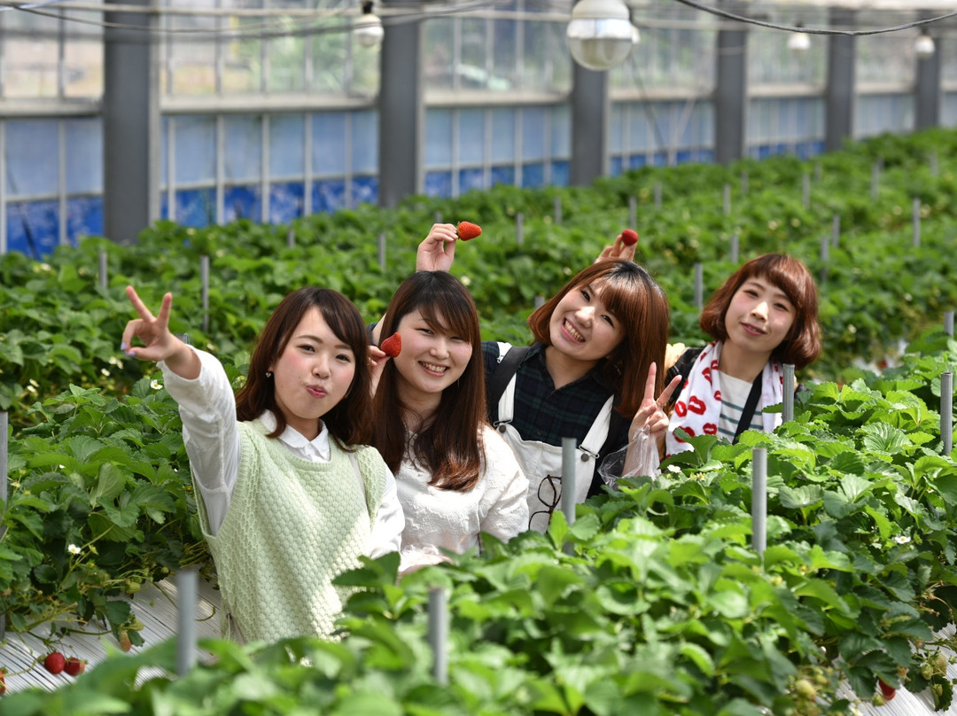 Kinokuni Farm-御坊市必去景点